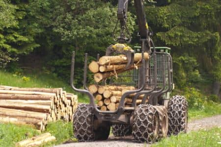 Forestry Clearing Thumbnail